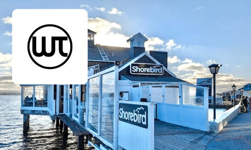 Shorebird Success Story image